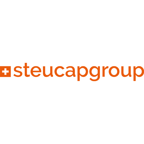 https://svwiesbaden1899.de/wp-content/uploads/2023/11/Steucapgroup-Orange.png